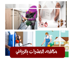 شركة مكافحة حشرات بالرياض شركة مكافحة حشرات بالرياض