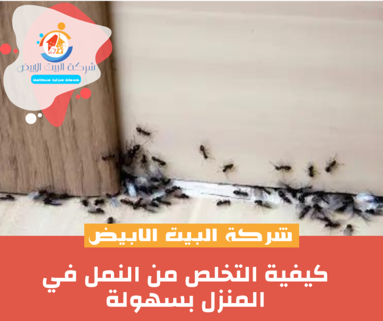 كيفية التخلص من النمل في المنزل بسهولة