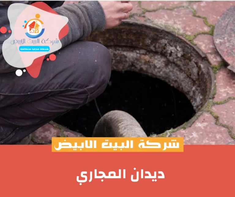 ديدان المجاري