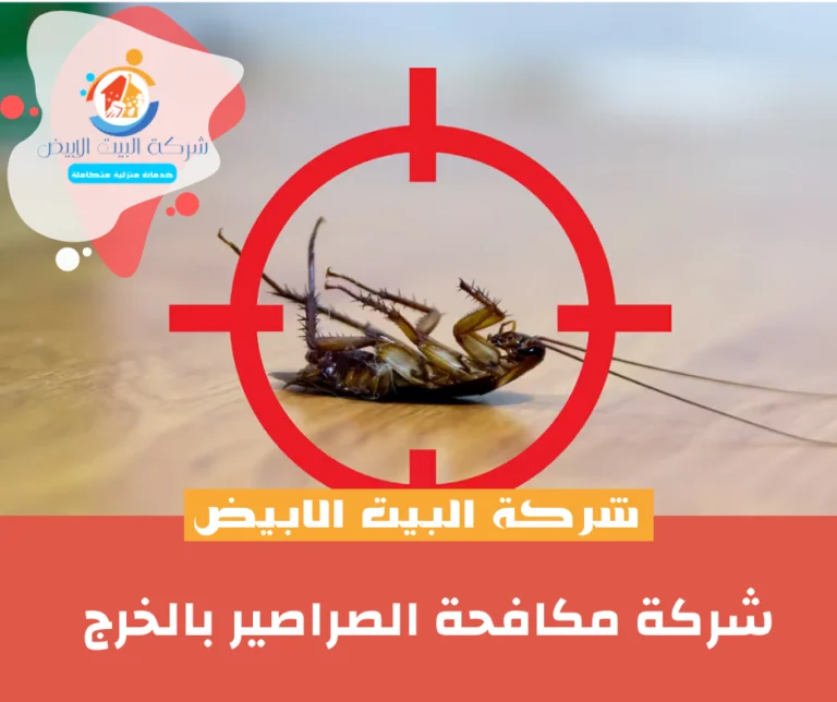 شركة مكافحة الصراصير بالخرج