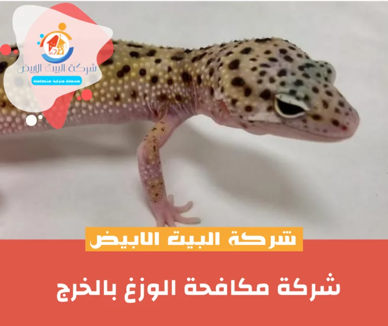شركة مكافحة الوزغ بالخرج