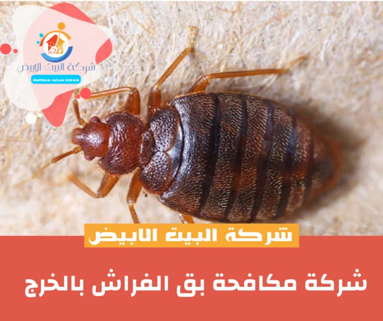 شركة مكافحة بق الفراش بالخرج