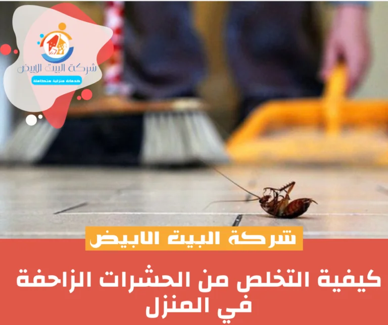 كيفية التخلص من الحشرات الزاحفة في المنزل