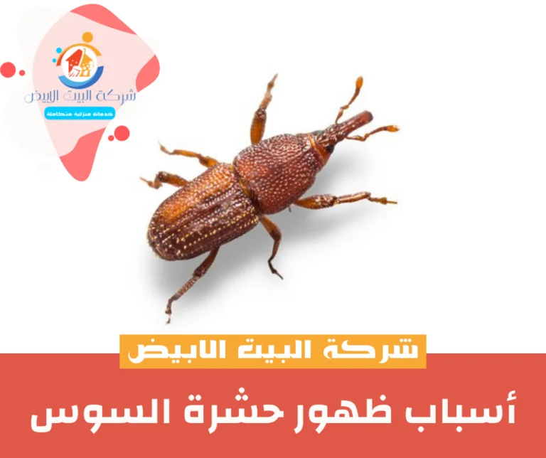 أسباب ظهور حشرة السوس