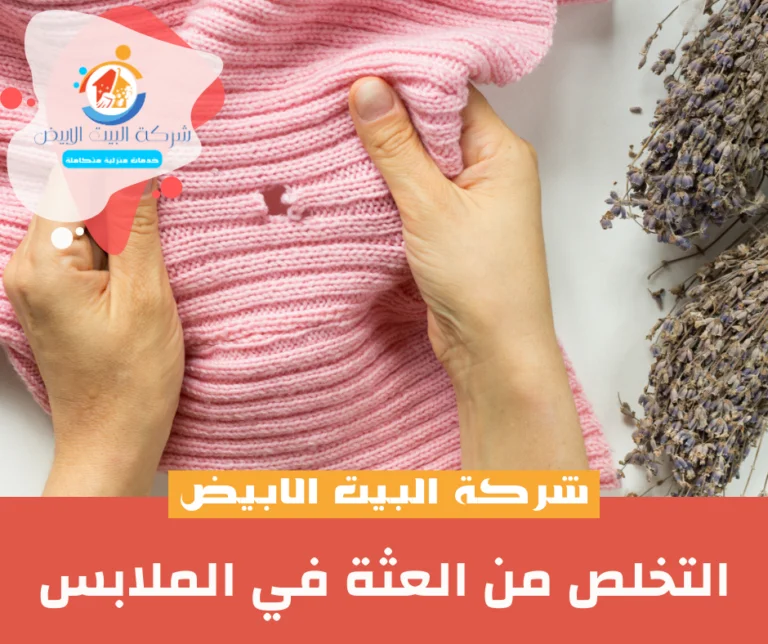 التخلص من العثة في الملابس