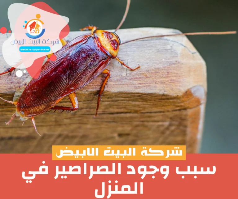 سبب وجود الصراصير في المنزل