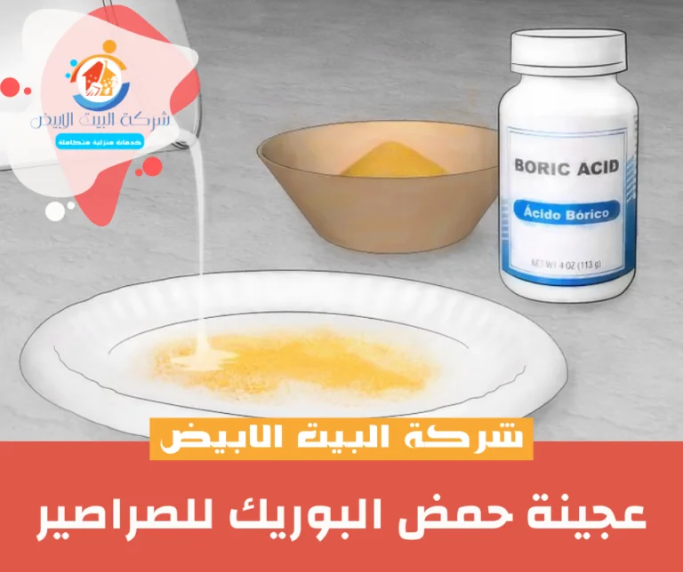 عجينة حمض البوريك للصراصير