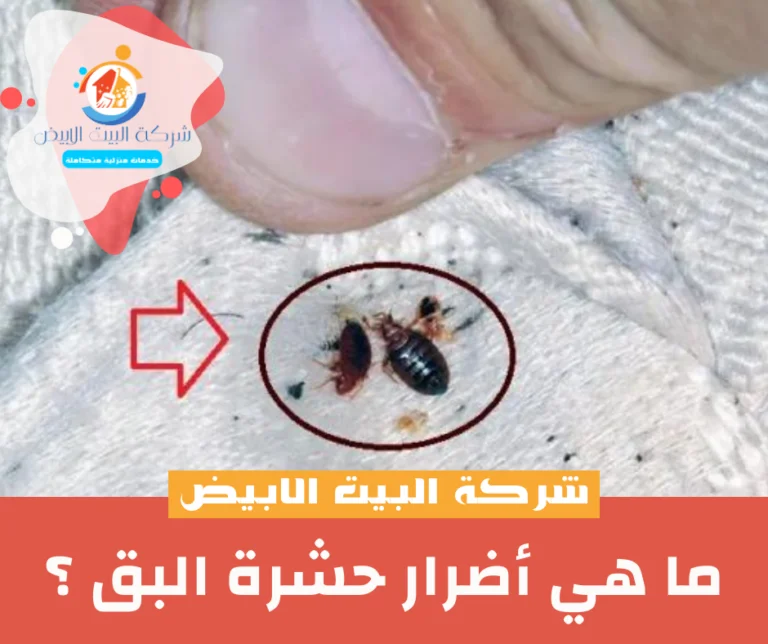 ما هي أضرار حشرة البق ؟