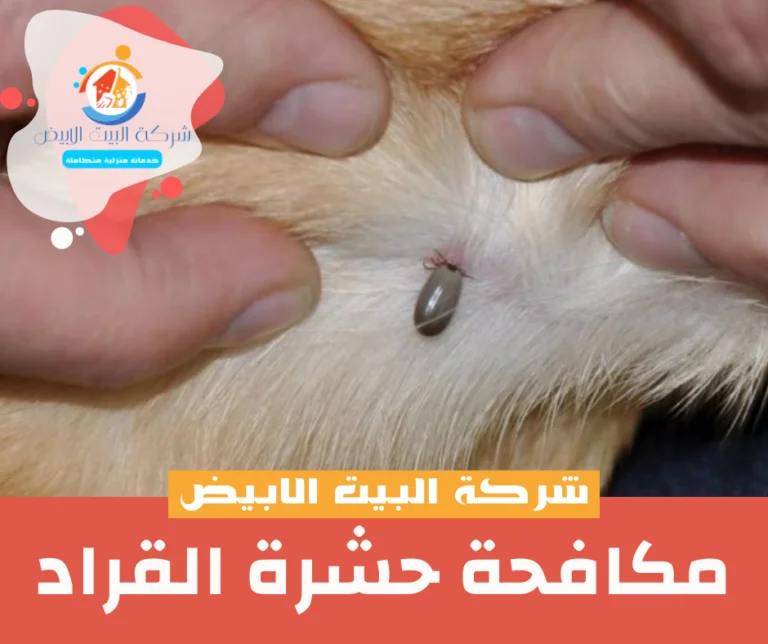 مكافحة حشرة القراد