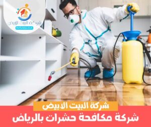 شركة مكافحة حشرات بالرياض شركة مكافحة حشرات بالرياض